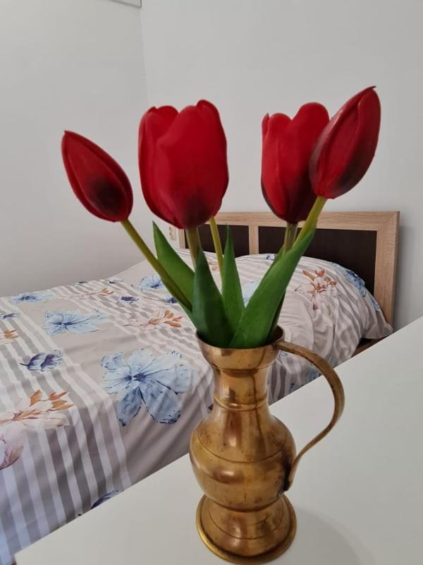 Studio Pico Cluj-Napoca Luaran gambar